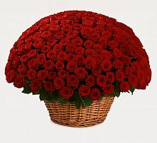 Премиум букет из: Розы #REPLACE_PRED# Бурацком